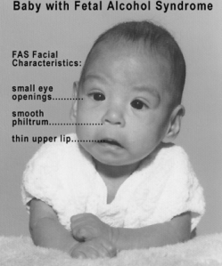 Screen Shot 2014-11-08 at 7.04.15 PM